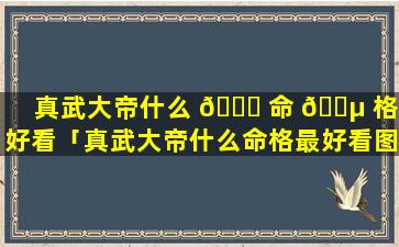 真武大帝什么 🐅 命 🌵 格最好看「真武大帝什么命格最好看图片」